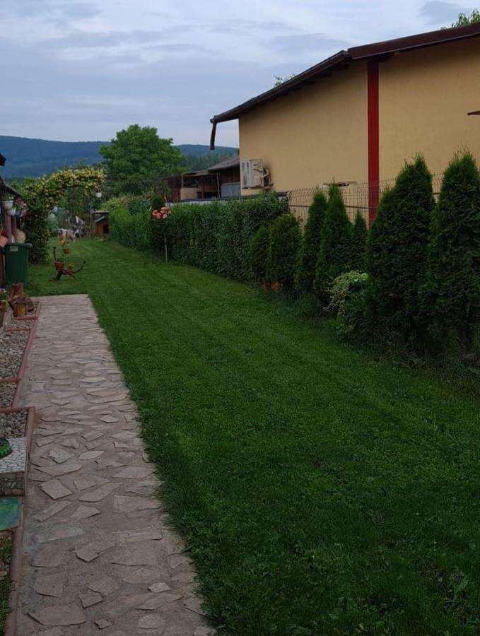 Casa Ursului Hotel Bujoreni Exterior foto